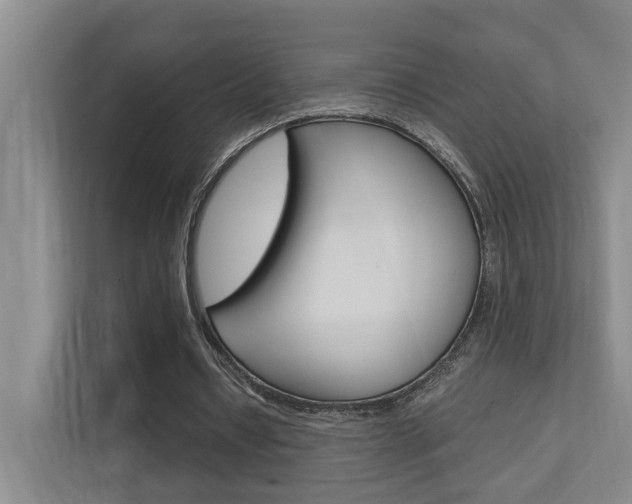 X0000112370434200908131257