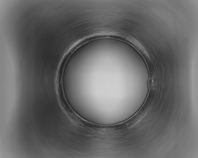 X0000112370436200908131257