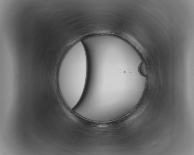 X0000112370441200908131257