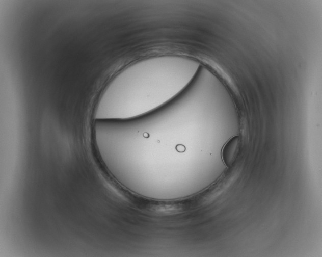 X0000112370445200908131257