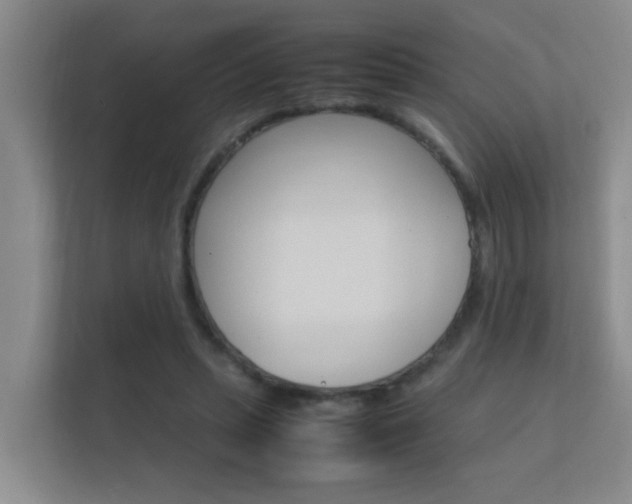 X0000112370447200908131257