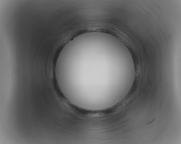 X0000112370452200908131258