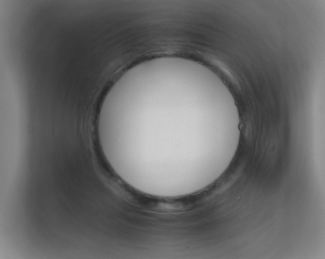 X0000112370455200908131258