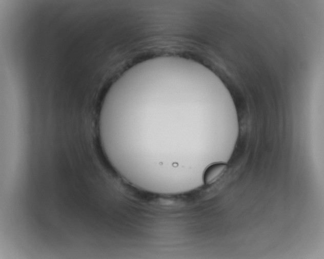X0000112370464200908131258