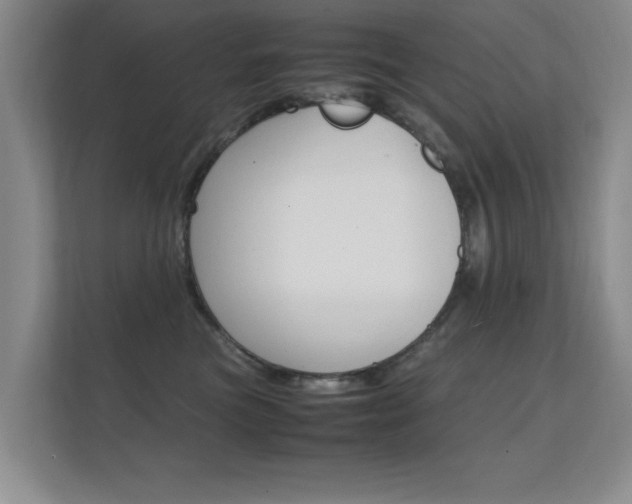 X0000112370473200908131258