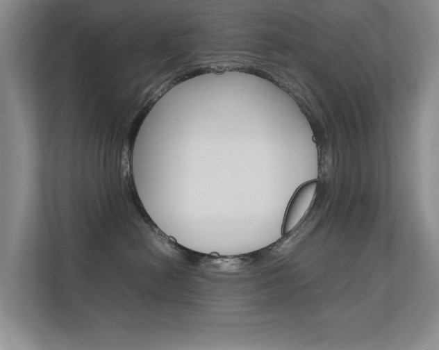 X0000112370478200908131258