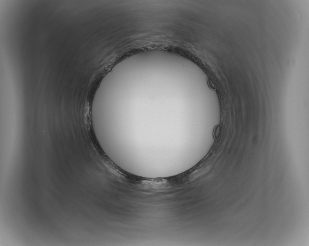 X0000112370480200908131258