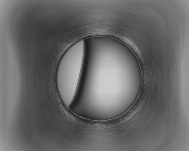 X0000112370481200908131257