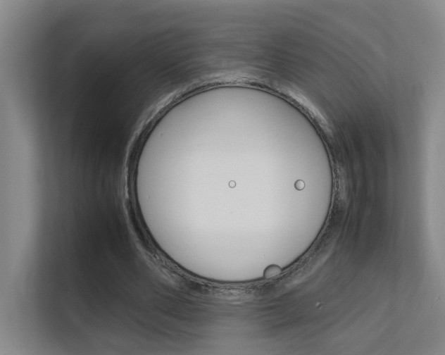X0000112370486200908131257