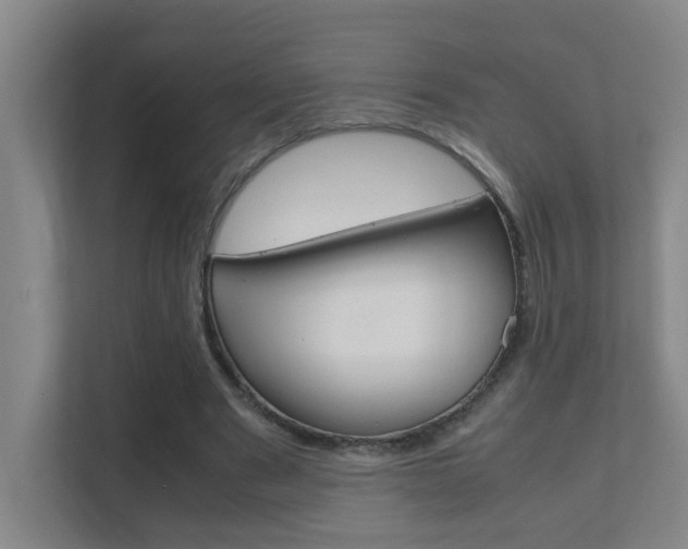 X0000112370489200908131257