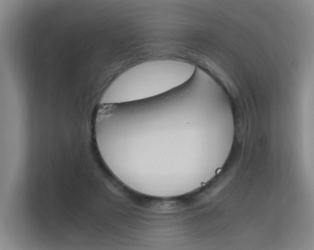 X0000112370497200908131257