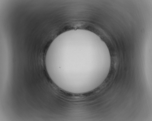 X0000112370510200908131257