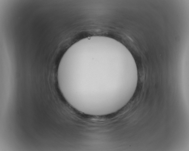 X0000112370515200908131257