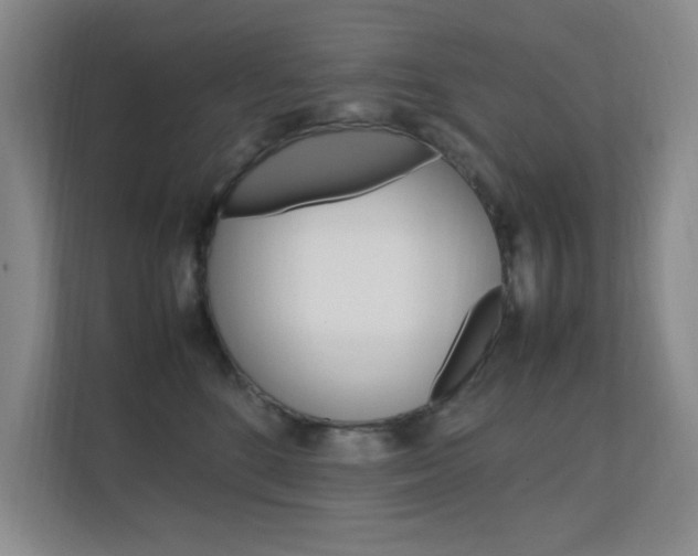X0000112370520200908131257