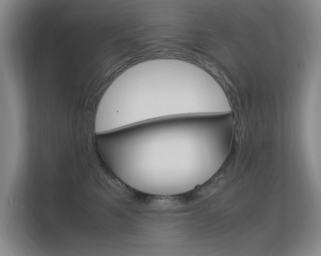 X0000112370521200908131257