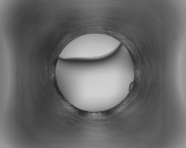 X0000112370525200908131257