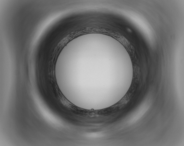 X0000112370526200908131257