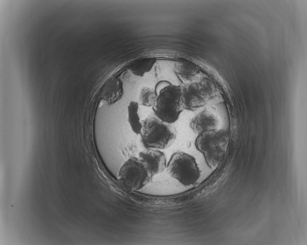 X0000112370529200908131256