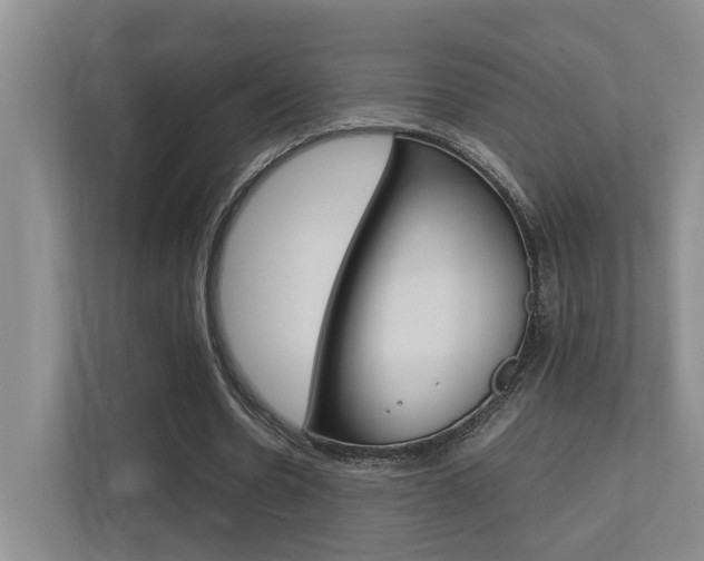 X0000112370530200908131256