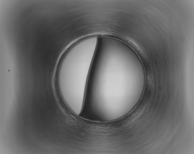 X0000112370532200908131256