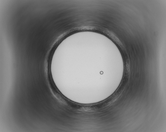 X0000112370534200908131256