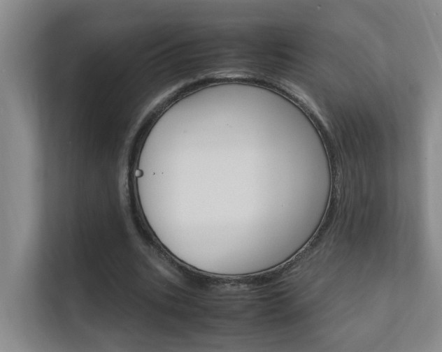 X0000112370535200908131256