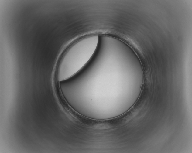 X0000112370536200908131256