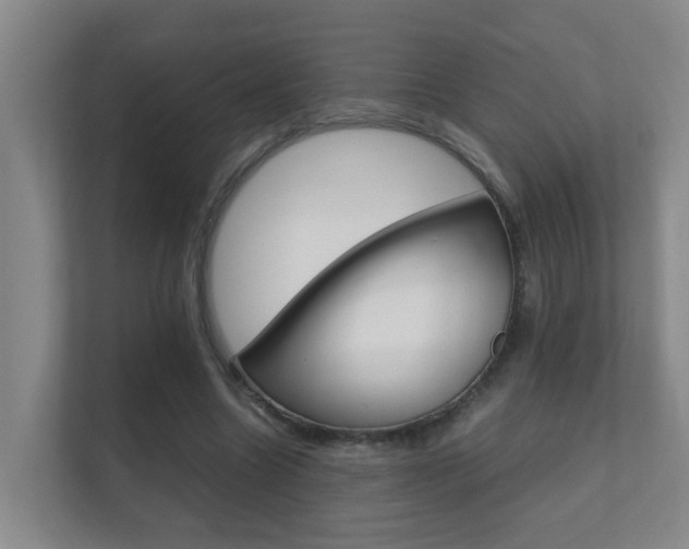 X0000112370538200908131256