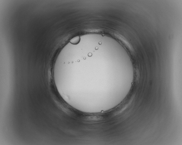 X0000112370541200908131256