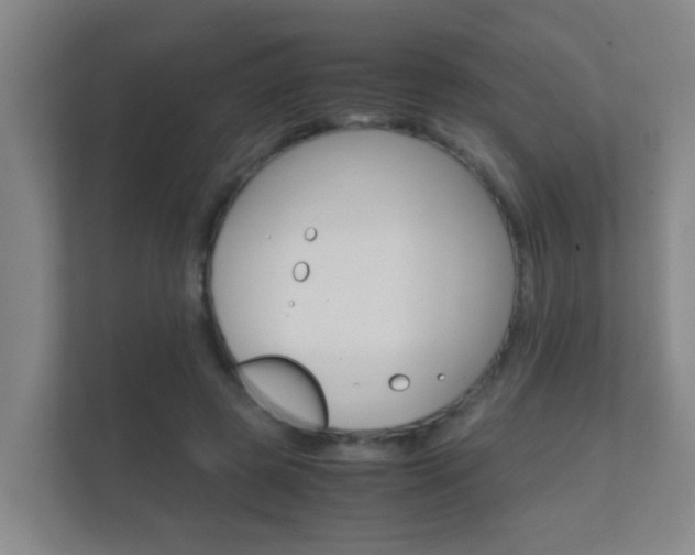 X0000112370545200908131256