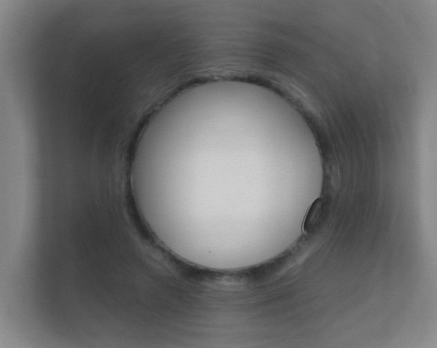 X0000112370546200908131256