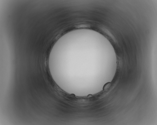 X0000112370549200908131256