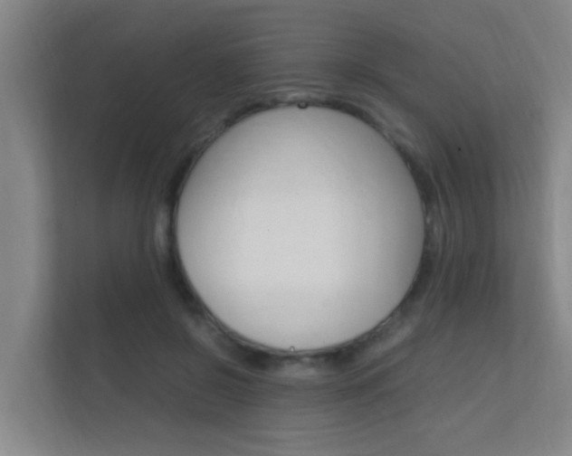 X0000112370550200908131256