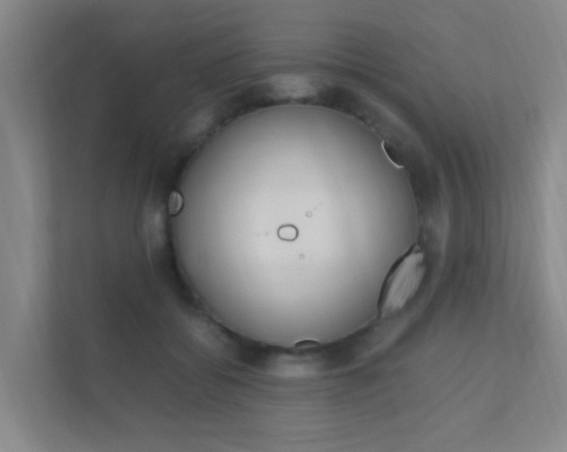 X0000112370556200908131256