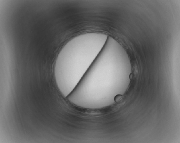 X0000112370559200908131256