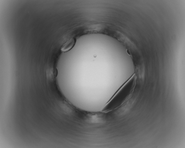 X0000112370564200908131256