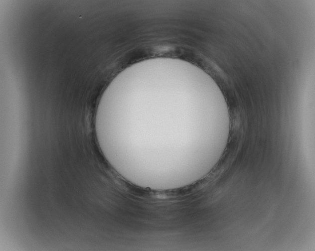 X0000112370565200908131256
