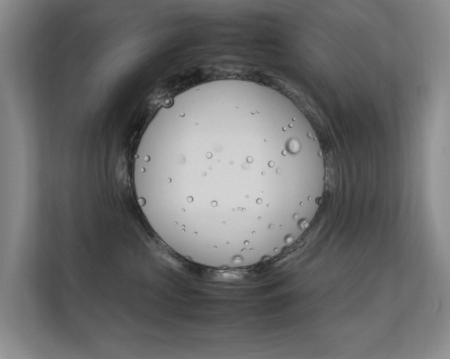X0000112370573200908131257