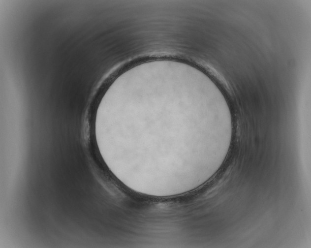 X0000112370584200908131256