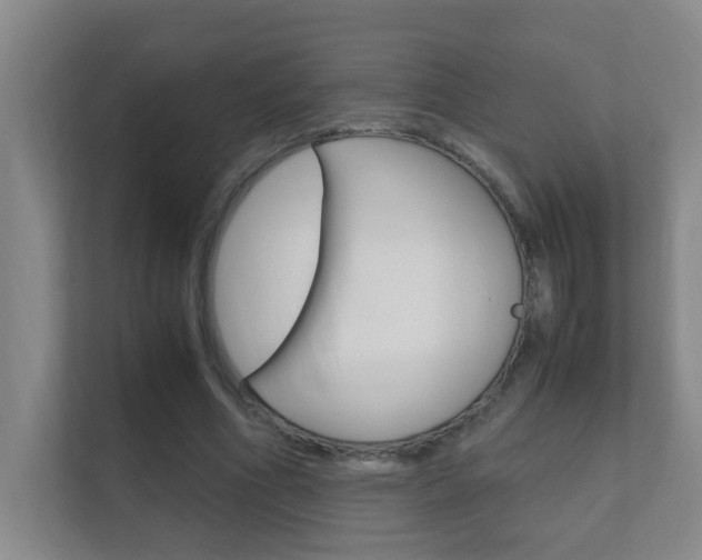 X0000112370586200908131256