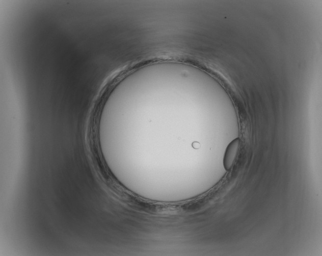 X0000112370587200908131256