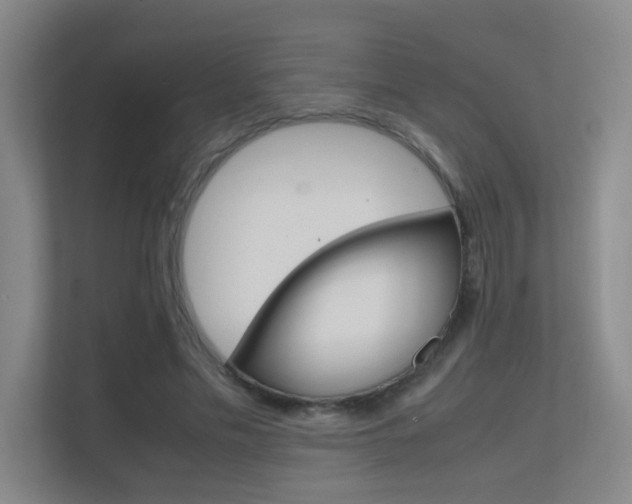 X0000112370589200908131256