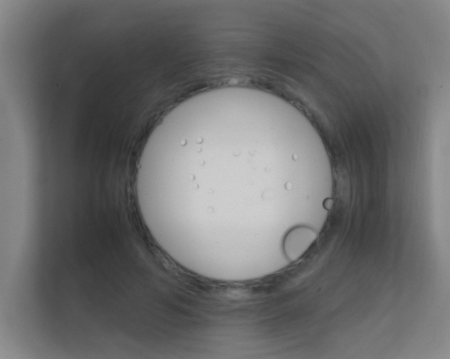 X0000112370594200908131256