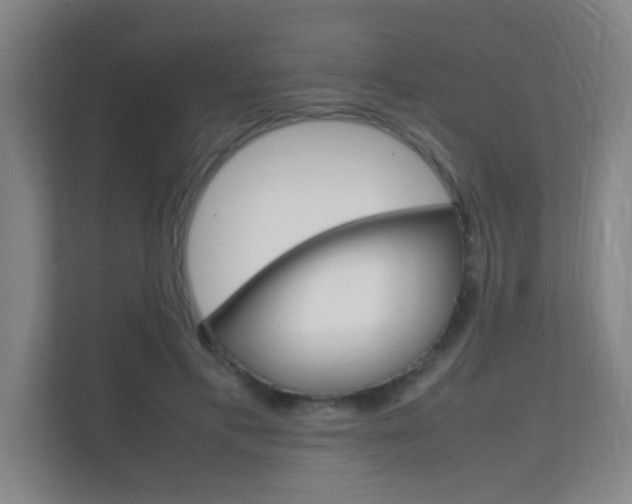 X0000112370597200908131256