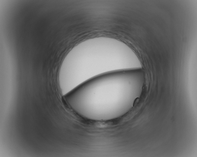 X0000112370613200908131256