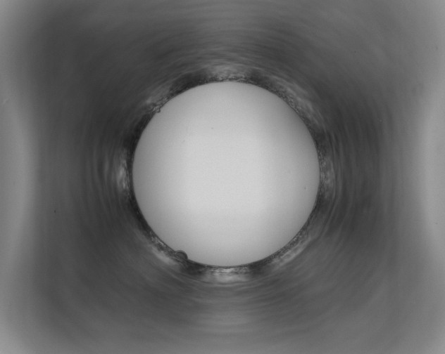 X0000112370622200908131255