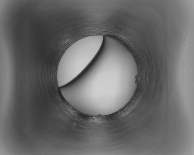 X0000112370624200908131255
