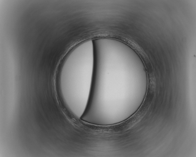 X0000112370626200908131255