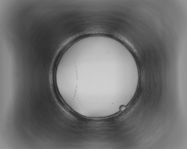 X0000112370629200908131255