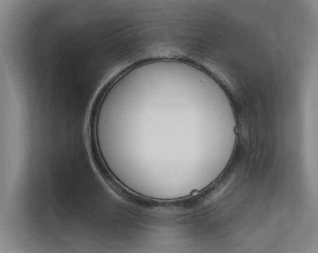 X0000112370630200908131255